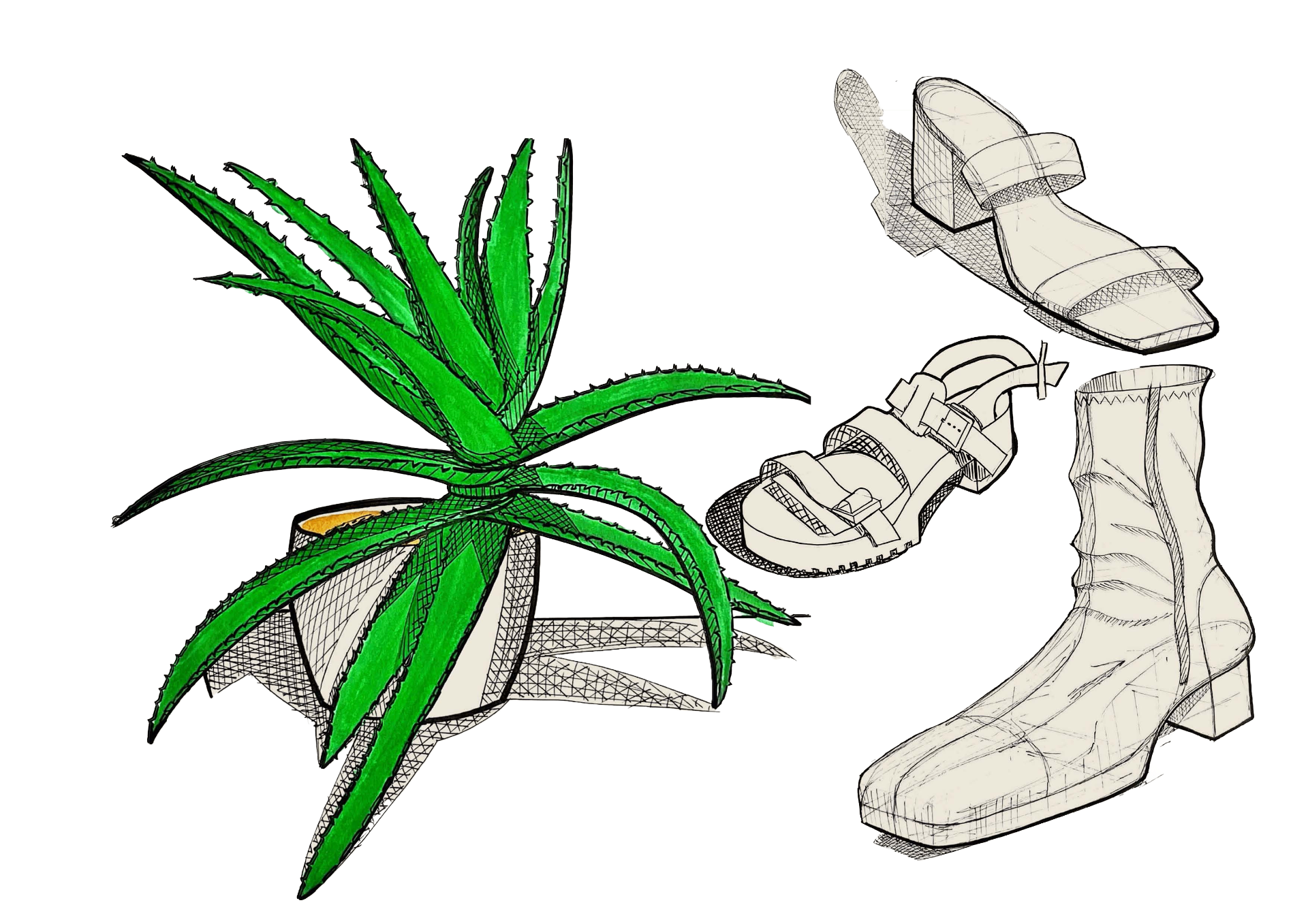 Fashion and form studies including aloe plant and footwear.